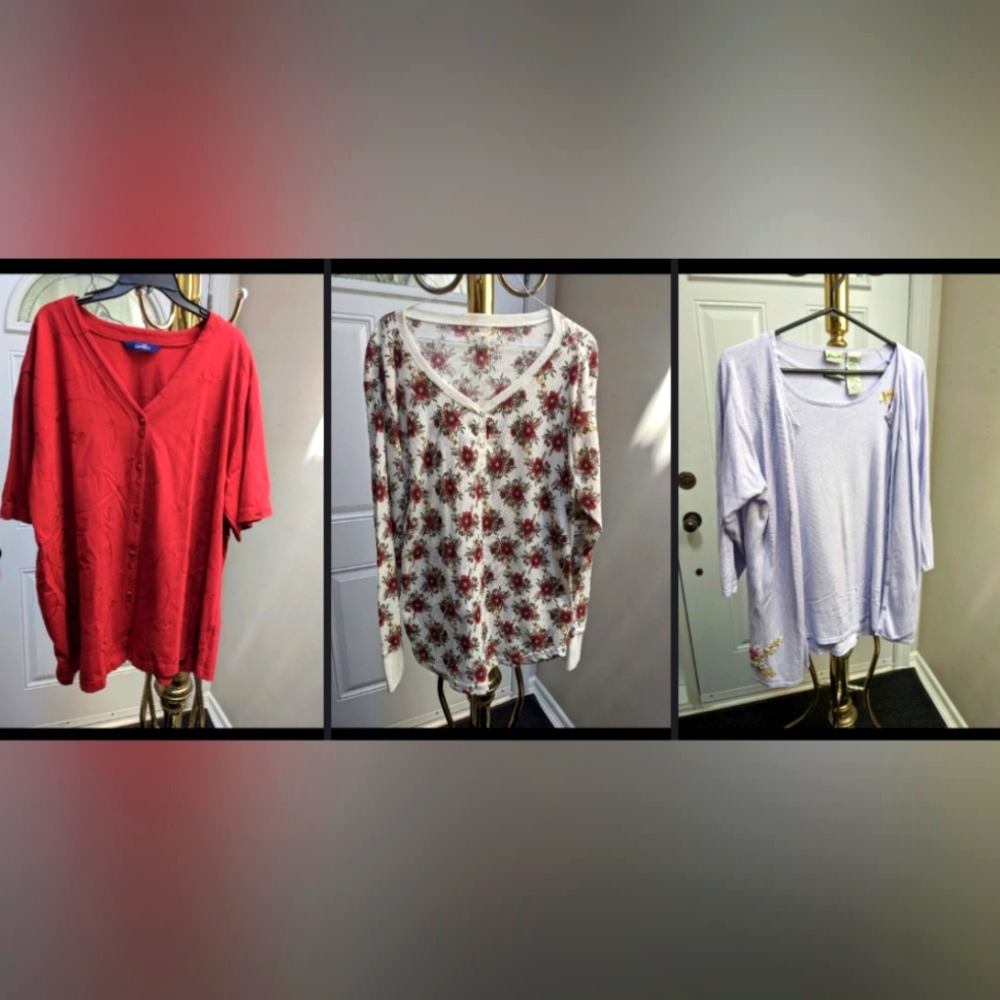 *🥳MAKE OFFER🥳 Clear Out🤸 3 Reposh Tops Embroidered & Floral 2X